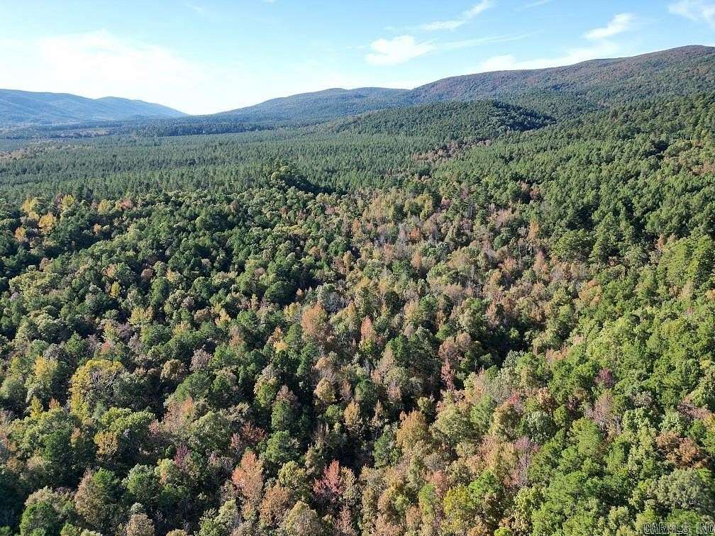 157 Acres of Recreational Land for Sale in Mena, Arkansas