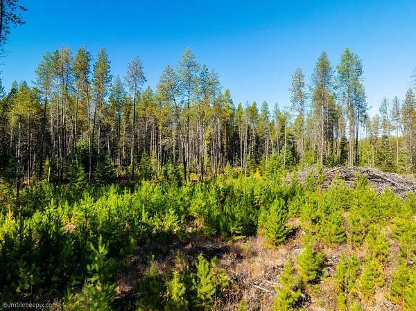 4 Acres of Residential Land for Sale in Newport, Washington