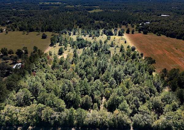 20 Acres of Recreational Land & Farm for Sale in Williston, Florida