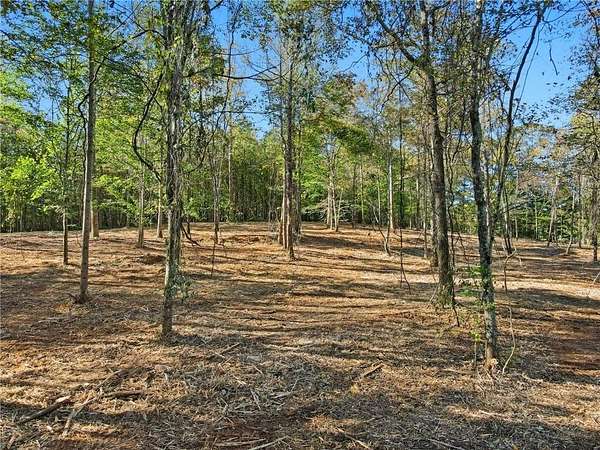 11.2 Acres of Land for Sale in Alpharetta, Georgia