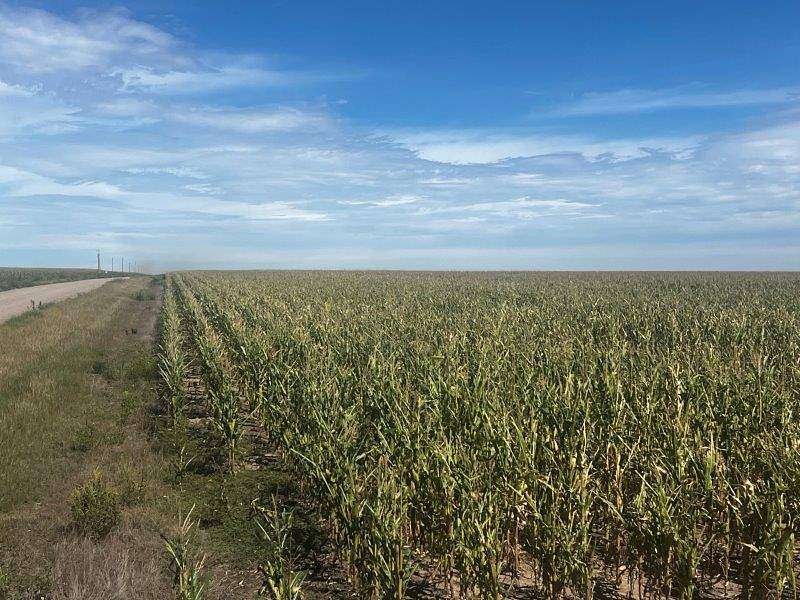 155 Acres of Agricultural Land for Sale in Goodland, Kansas