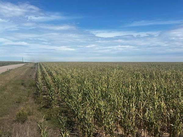 155 Acres of Agricultural Land for Sale in Goodland, Kansas