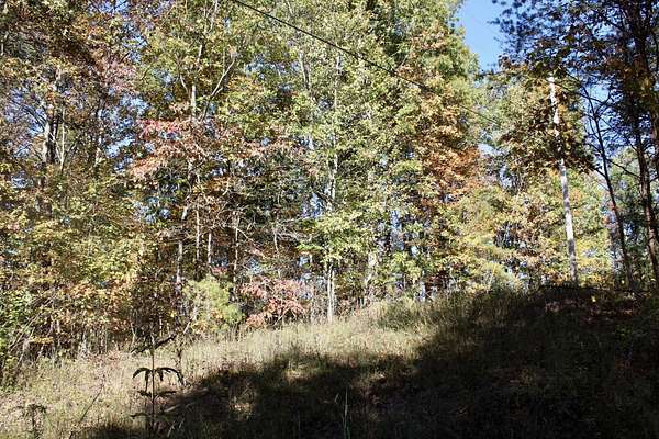 10 Acres of Residential Land for Sale in East Bernstadt, Kentucky