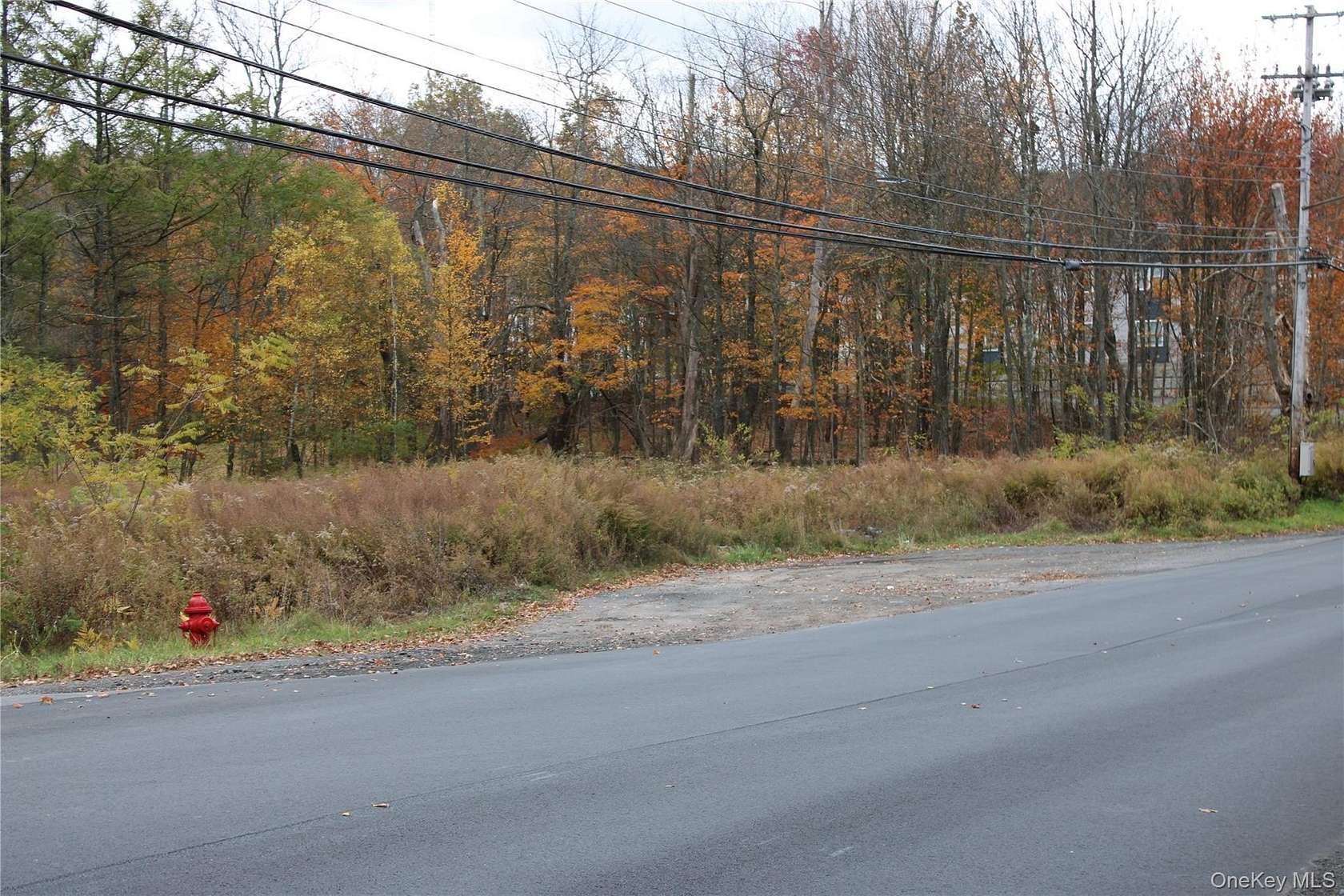 0.6 Acres of Land for Sale in Monticello, New York
