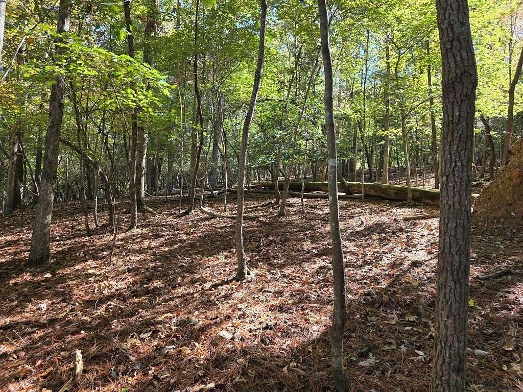 0.5 Acres of Residential Land for Sale in Ellijay, Georgia