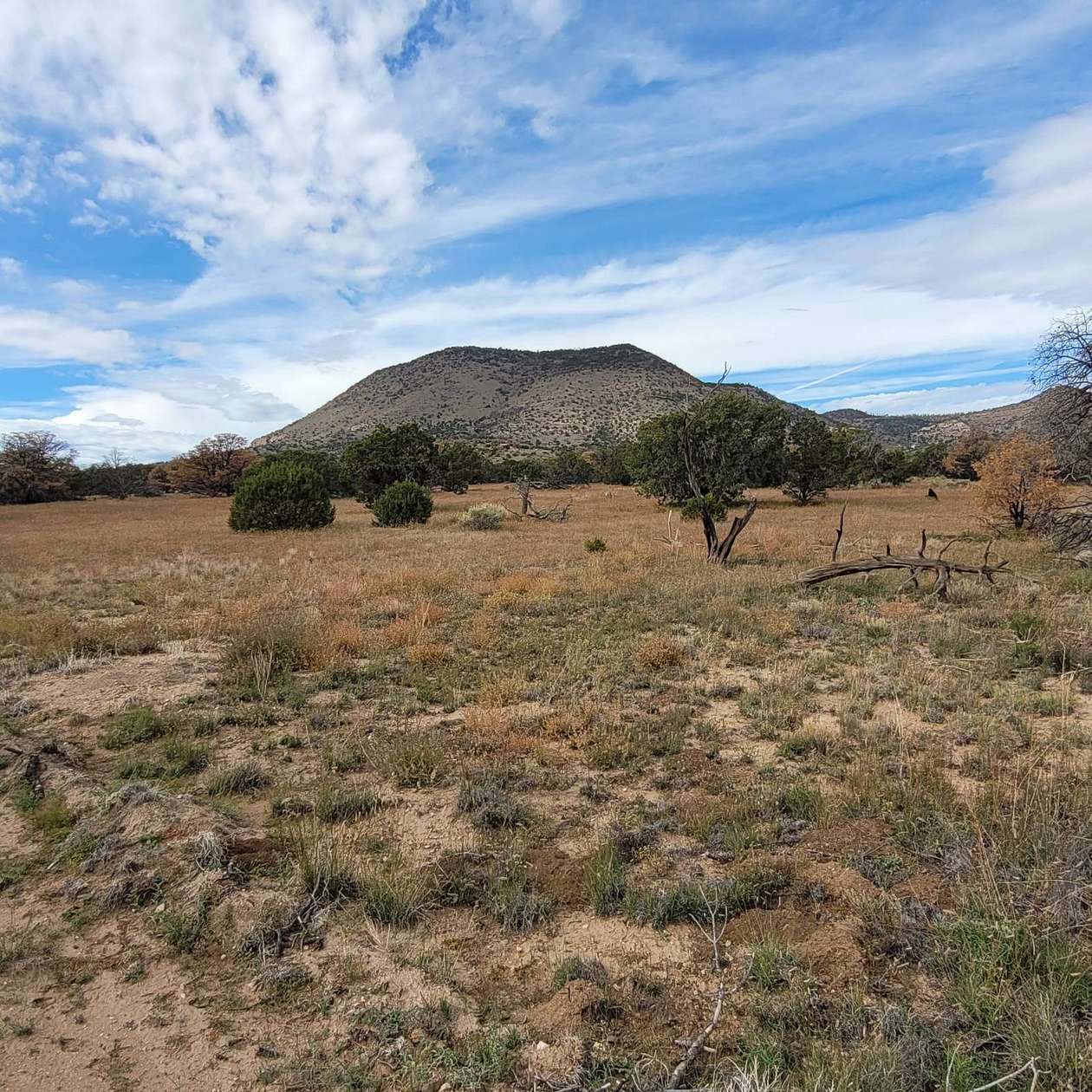 13.3 Acres of Recreational Land for Sale in Datil, New Mexico