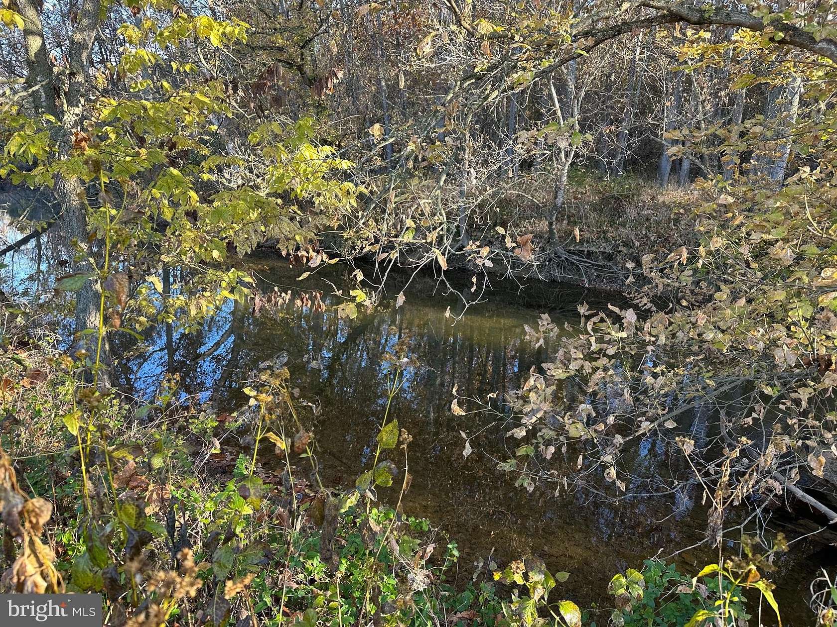 29 Acres of Land for Sale in New Market, Virginia