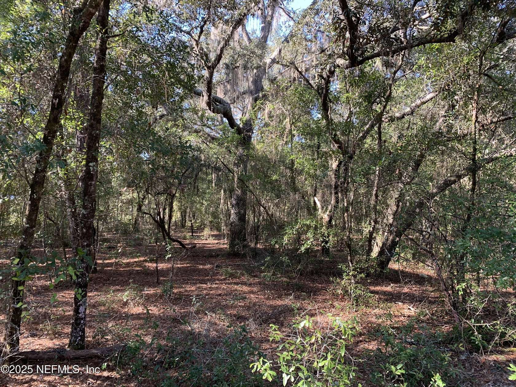 1.16 Acres of Land for Sale in Interlachen, Florida