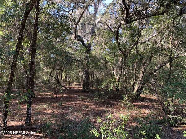 1.16 Acres of Land for Sale in Interlachen, Florida