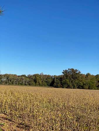 55 Acres of Land for Sale in Keller, Virginia