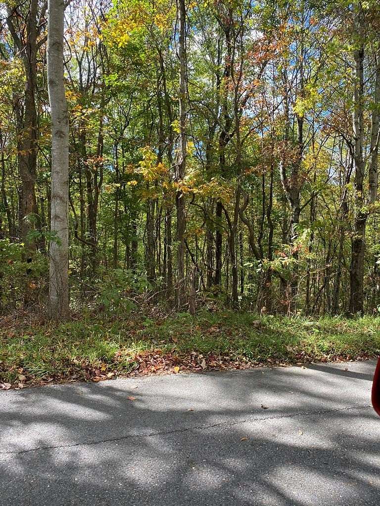 13.8 Acres of Land for Sale in Jewell Ridge, Virginia