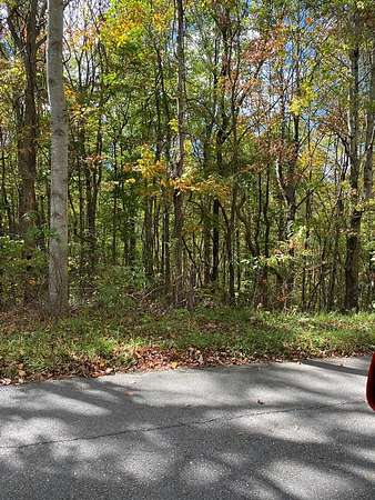 13.8 Acres of Land for Sale in Jewell Ridge, Virginia