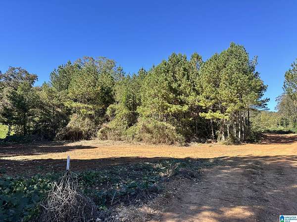 20.4 Acres of Agricultural Land for Sale in Piedmont, Alabama