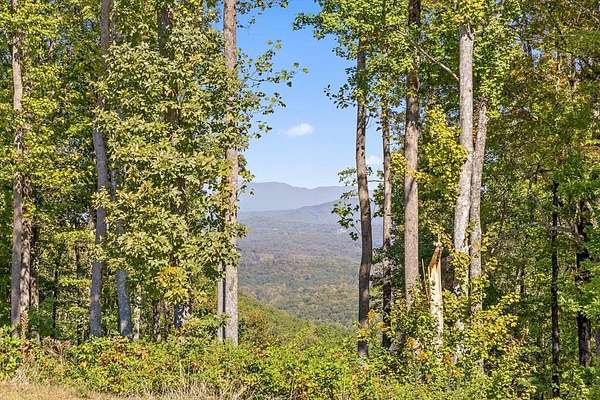 1.75 Acres of Residential Land for Sale in Talking Rock, Georgia