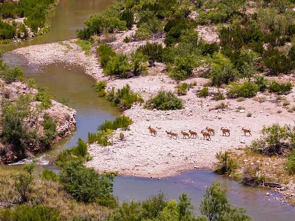 851 Acres of Agricultural Land for Sale in Ozona, Texas