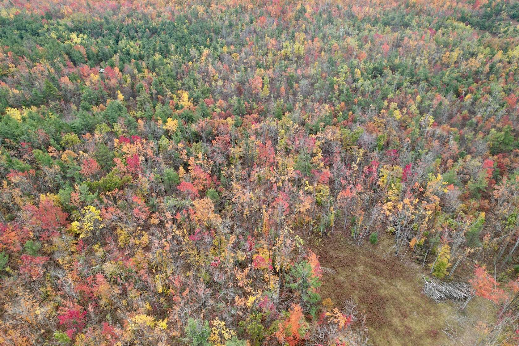 10.2 Acres of Recreational Land for Sale in Gaylord, Michigan