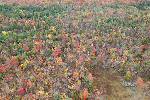 10.2 Acres of Recreational Land for Sale in Gaylord, Michigan