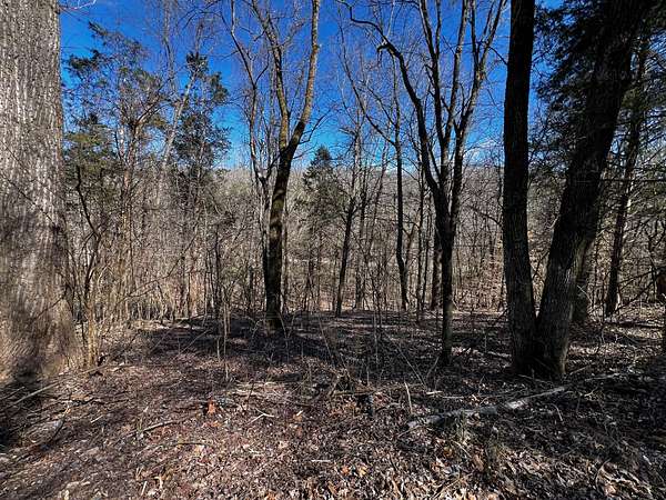 0.43 Acres of Residential Land for Sale in Dover, Tennessee