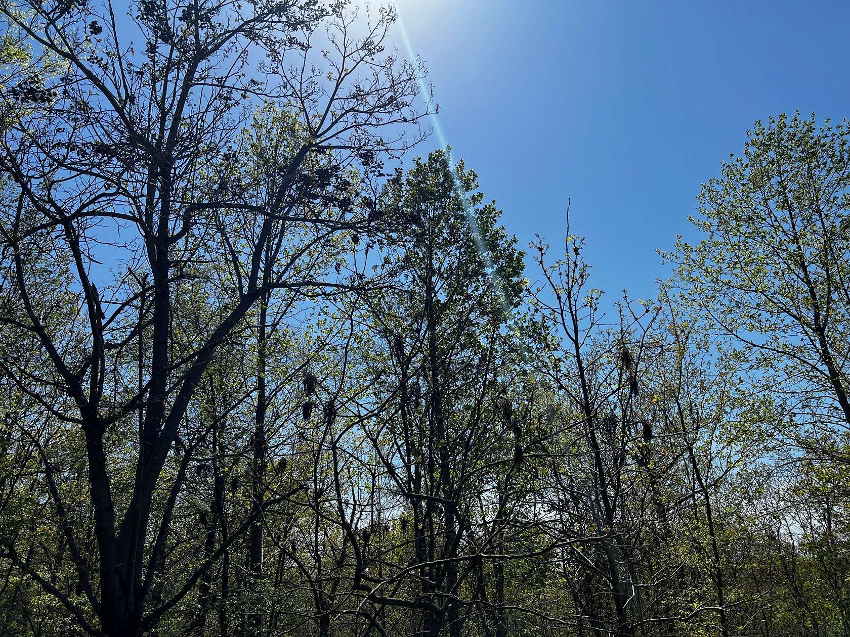 2 Acres of Residential Land for Sale in Stewart, Tennessee