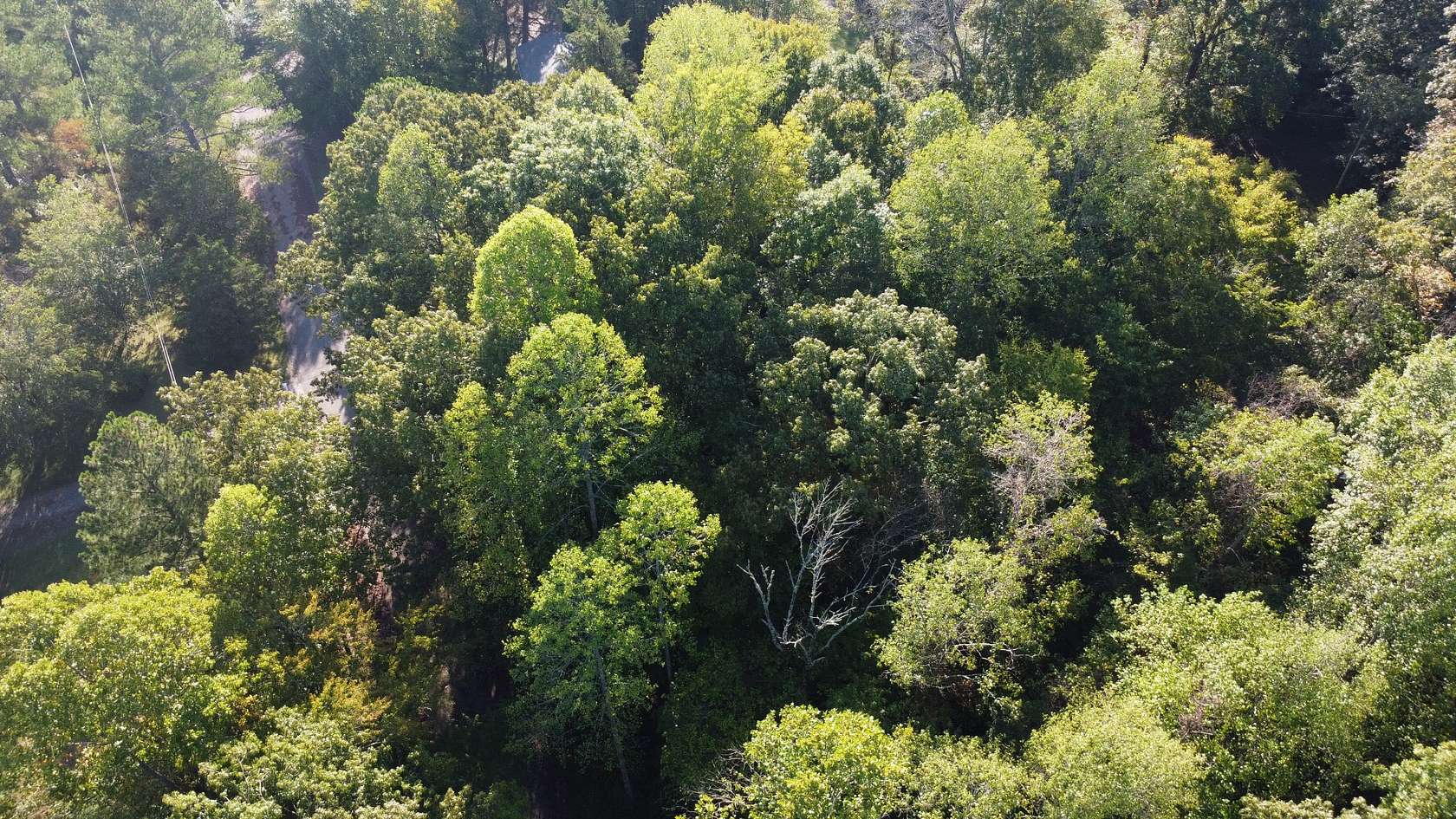 0.53 Acres of Residential Land for Sale in Baxter, Tennessee