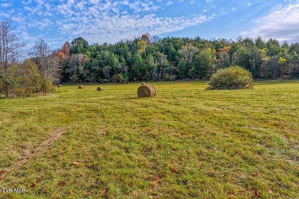 30 Acres of Agricultural Land for Sale in Rogersville, Tennessee