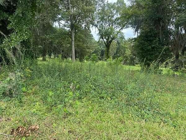 1 Acre of Residential Land for Sale in Cordele, Georgia