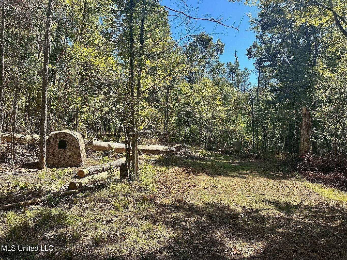 32 Acres of Recreational Land & Farm for Sale in Ridgeland, Mississippi