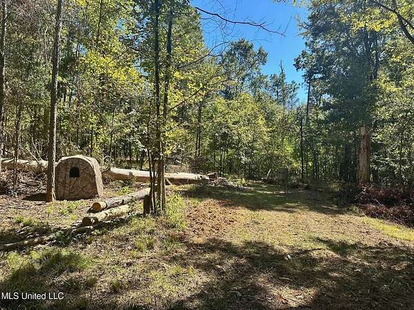 32 Acres of Recreational Land & Farm for Sale in Ridgeland, Mississippi