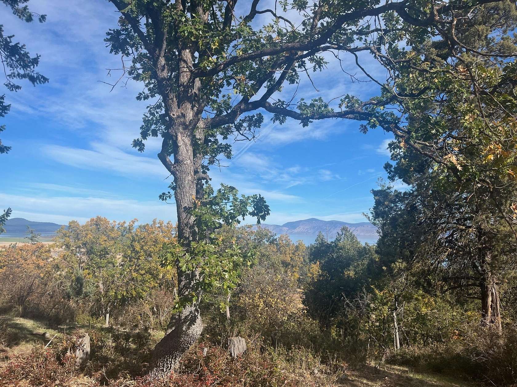 0.76 Acres of Residential Land for Sale in Klamath Falls, Oregon