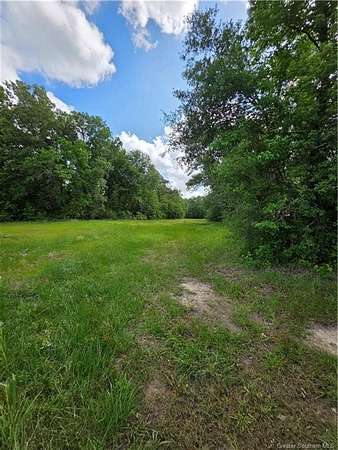 90 Acres of Recreational Land for Sale in Lake Charles, Louisiana