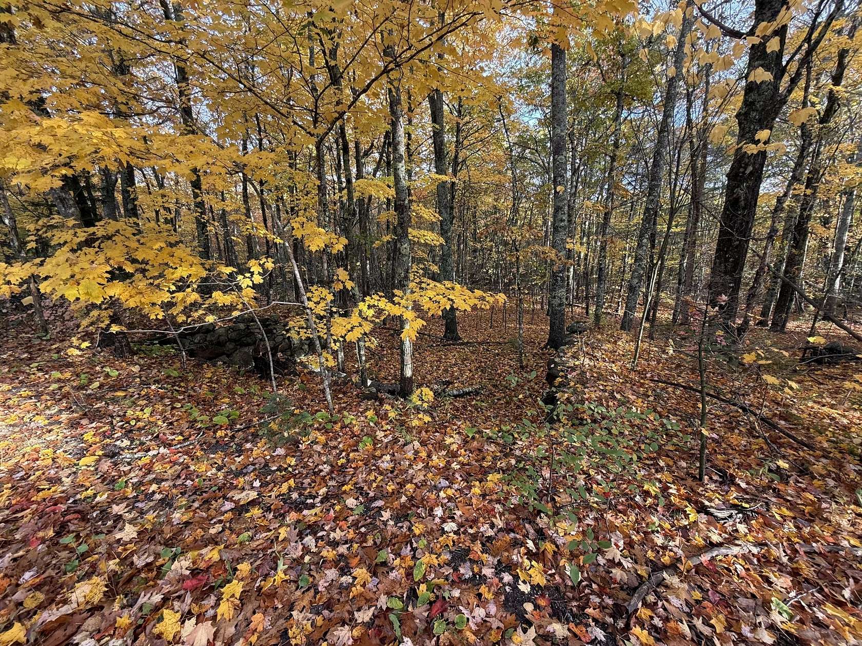 1.22 Acres of Land for Sale in Rockport, Maine