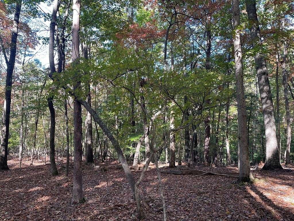 0.94 Acres of Land for Sale in Blairsville, Georgia