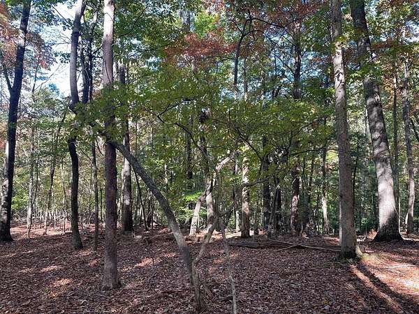 0.94 Acres of Land for Sale in Blairsville, Georgia