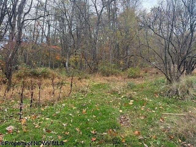4 Acres of Residential Land for Sale in Mill Creek, West Virginia