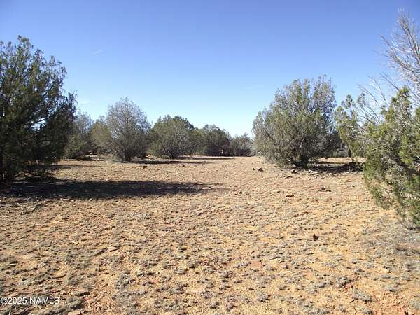 40 Acres of Recreational Land for Sale in Williams, Arizona