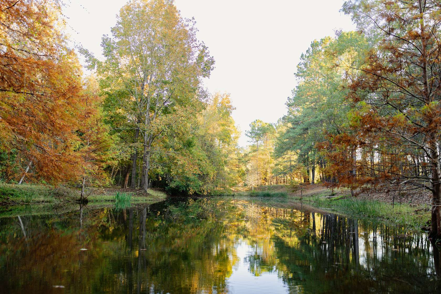 1,345 Acres of Recreational Land for Sale in Manning, South Carolina