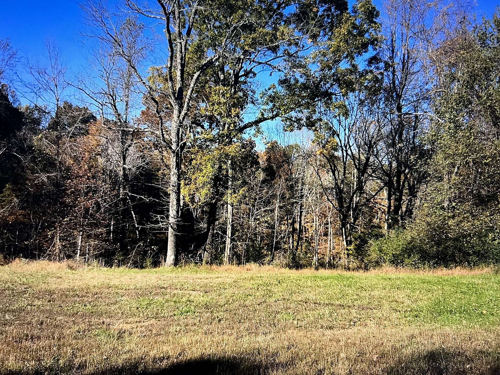 5 Acres of Residential Land for Sale in Joelton, Tennessee