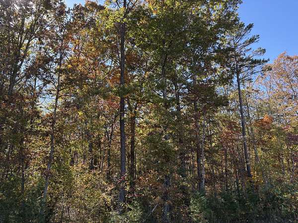 70.7 Acres of Recreational Land for Sale in Gruetli-Laager, Tennessee