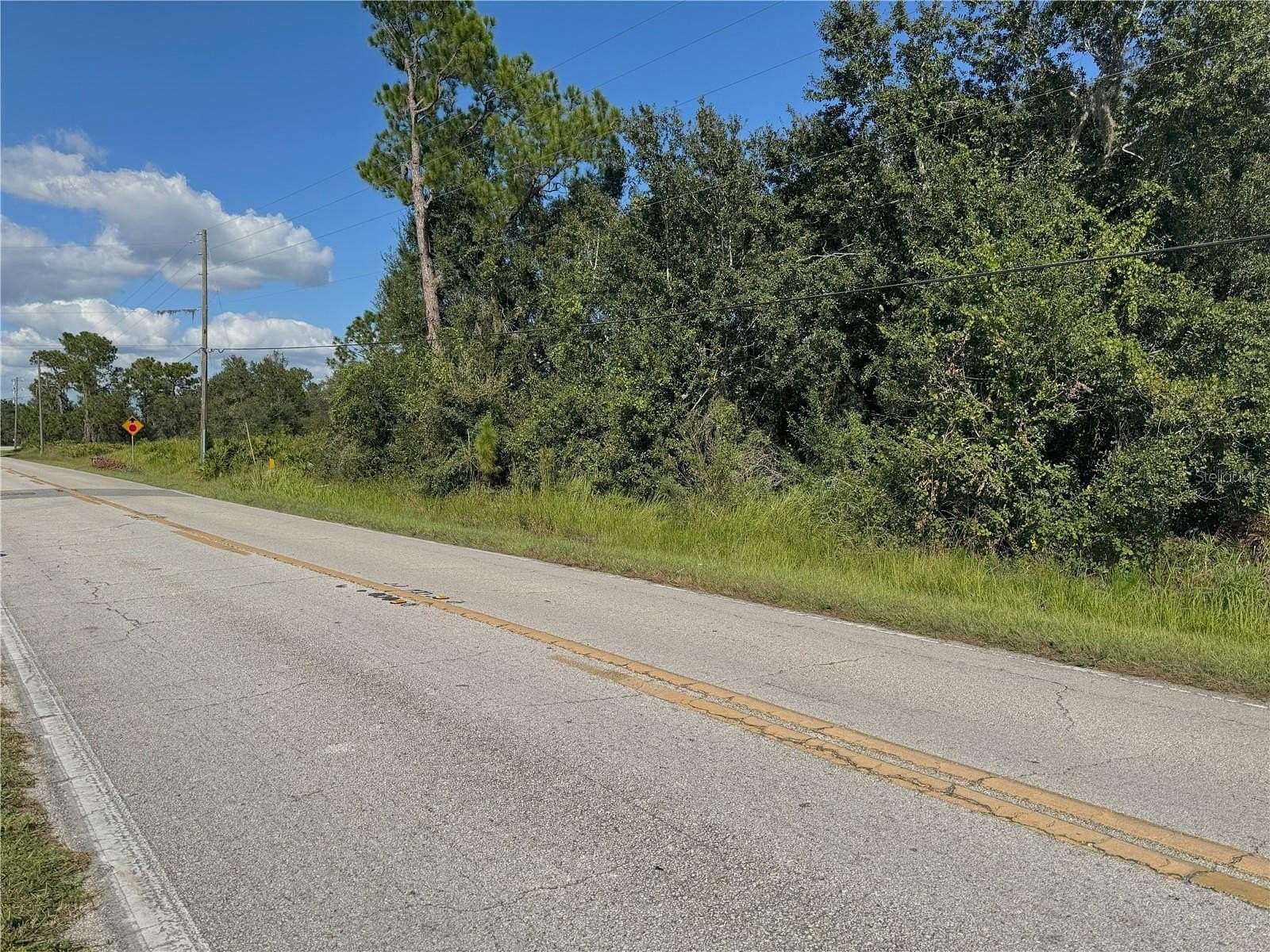 20.4 Acres of Recreational & Residential Land for Sale in Bartow, Florida