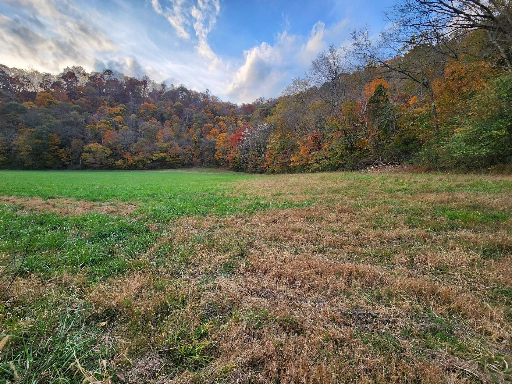 17.8 Acres of Land for Sale in Whitleyville, Tennessee