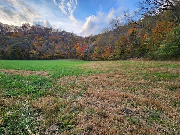 17.8 Acres of Land for Sale in Whitleyville, Tennessee