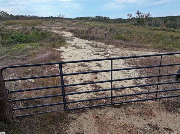 46 Acres of Recreational Land for Sale in Buffalo, South Carolina