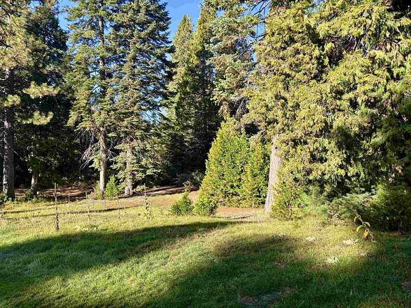 0.3 Acres of Residential Land for Sale in Lake Almanor Peninsula, California