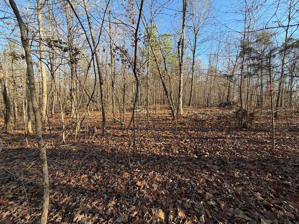5 Acres of Residential Land for Sale in Lyles, Tennessee