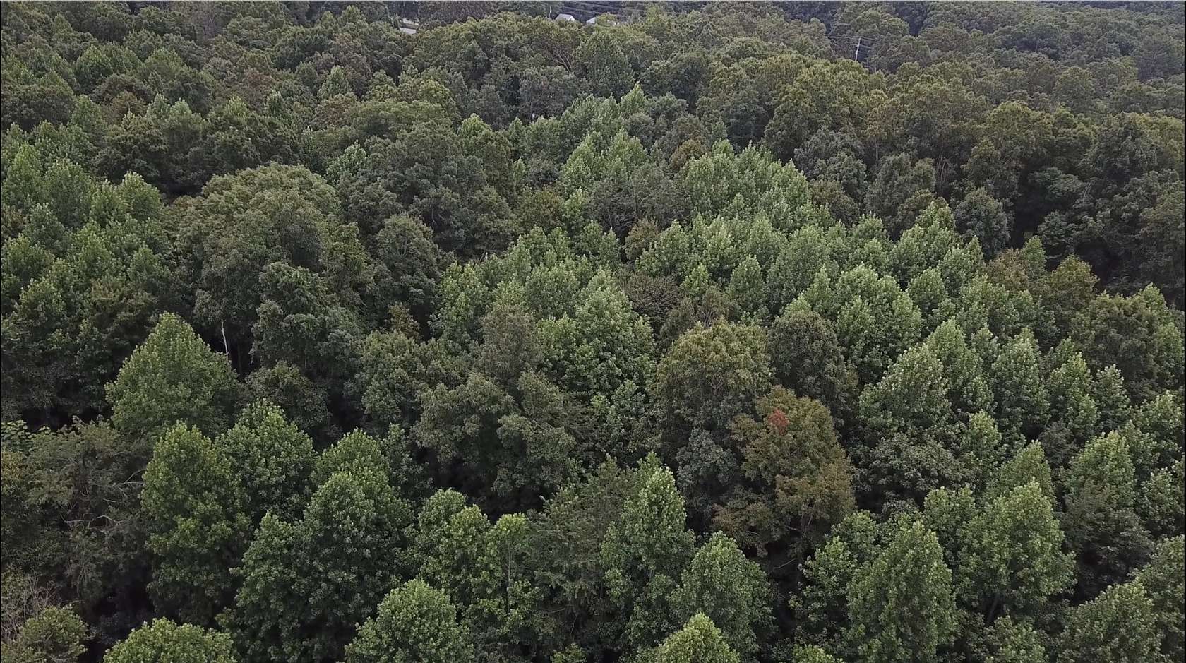 5 Acres of Residential Land for Sale in Lyles, Tennessee