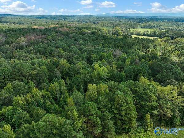 6 Acres of Residential Land for Sale in Somerville, Alabama