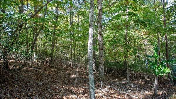 0.42 Acres of Residential Land for Sale in Murrayville, Georgia