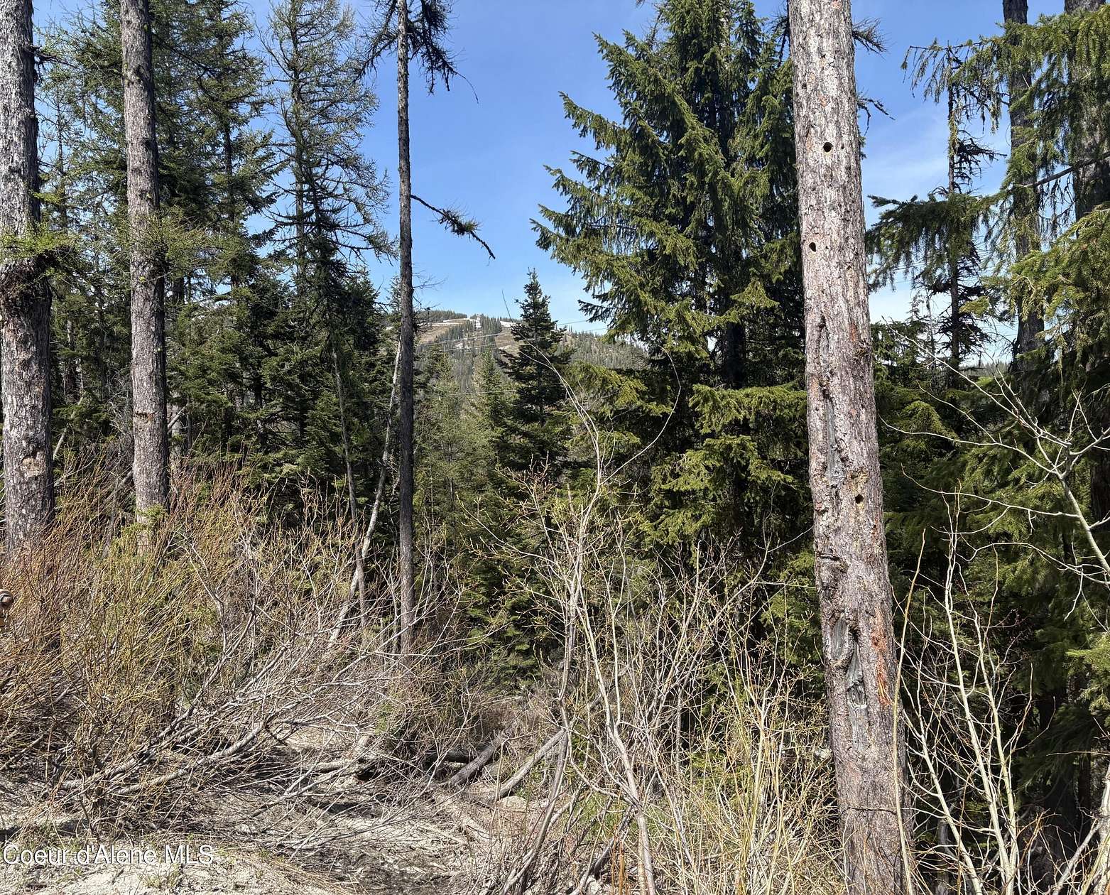 0.43 Acres of Land for Sale in Sandpoint, Idaho