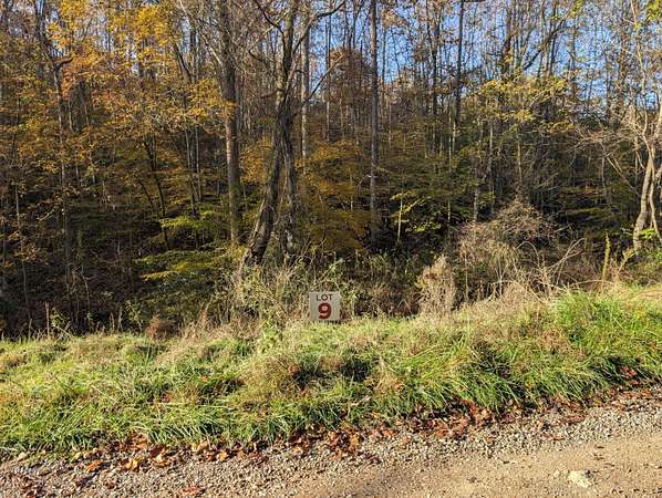 5.3 Acres of Residential Land for Sale in Tazewell, Tennessee