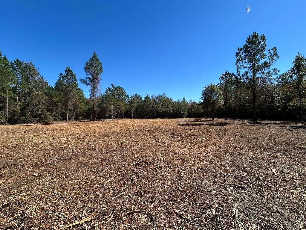 20 Acres of Agricultural Land for Sale in Ashford, Alabama